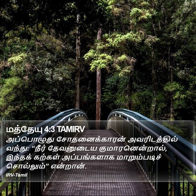 மத்தேயு 4:3 TAMIRV Bible Verse Image