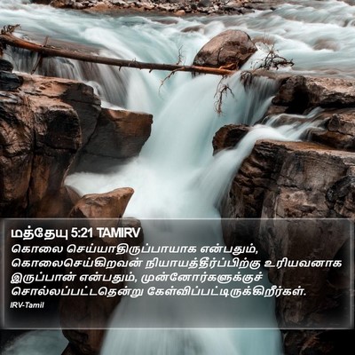 மத்தேயு 5:21 TAMIRV Bible Verse Image