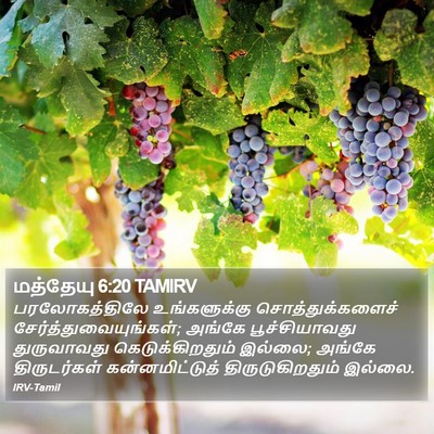 மத்தேயு 6:20 TAMIRV Bible Verse Image