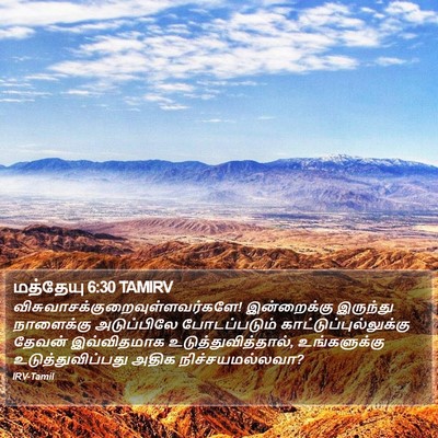 மத்தேயு 6:30 TAMIRV Bible Verse Image
