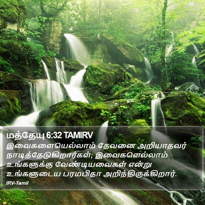 மத்தேயு 6:32 TAMIRV Bible Verse Image