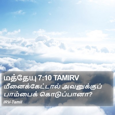 மத்தேயு 7:10 TAMIRV Bible Verse Image