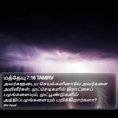 மத்தேயு 7:16 TAMIRV Bible Verse Image
