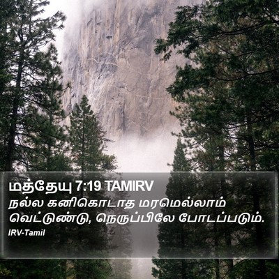 மத்தேயு 7:19 TAMIRV Bible Verse Image