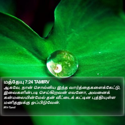 மத்தேயு 7:24 TAMIRV Bible Verse Image