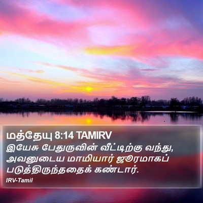 மத்தேயு 8:14 TAMIRV Bible Verse Image