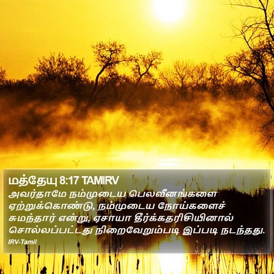 மத்தேயு 8:17 TAMIRV Bible Verse Image