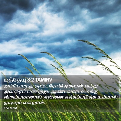 மத்தேயு 8:2 TAMIRV Bible Verse Image