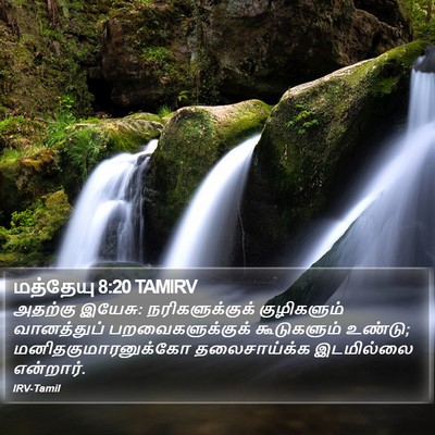 மத்தேயு 8:20 TAMIRV Bible Verse Image