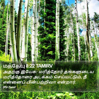 மத்தேயு 8:22 TAMIRV Bible Verse Image