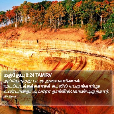 மத்தேயு 8:24 TAMIRV Bible Verse Image