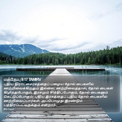 மத்தேயு 9:17 TAMIRV Bible Verse Image