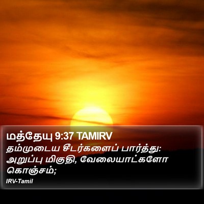 மத்தேயு 9:37 TAMIRV Bible Verse Image