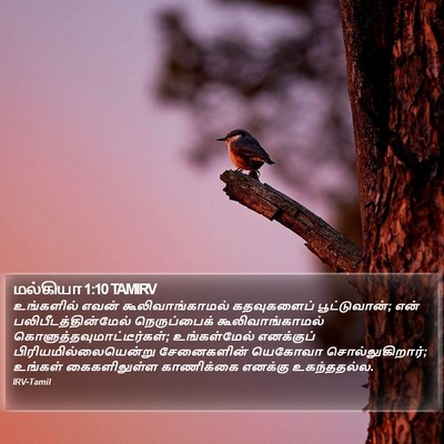 மல்கியா 1:10 TAMIRV Bible Verse Image