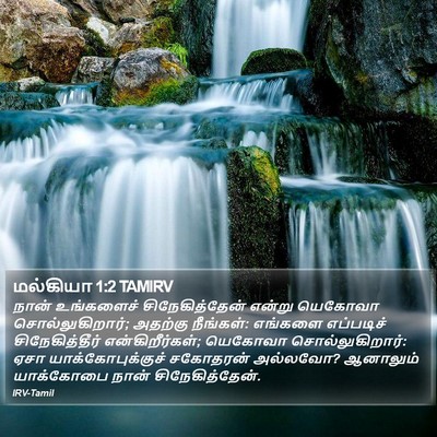மல்கியா 1:2 TAMIRV Bible Verse Image
