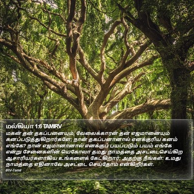 மல்கியா 1:6 TAMIRV Bible Verse Image