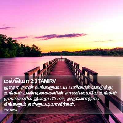 மல்கியா 2:3 TAMIRV Bible Verse Image