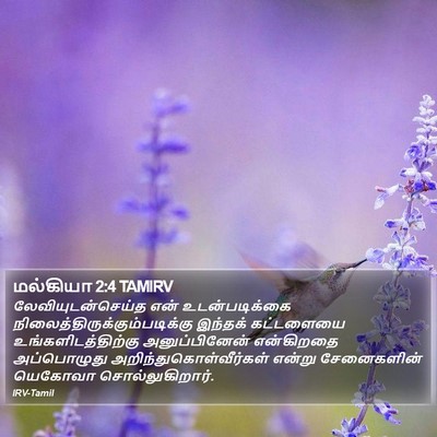 மல்கியா 2:4 TAMIRV Bible Verse Image