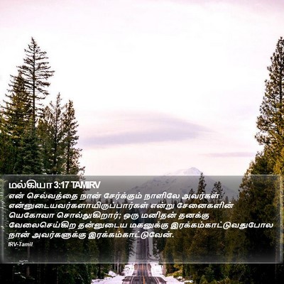 மல்கியா 3:17 TAMIRV Bible Verse Image