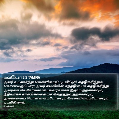 மல்கியா 3:3 TAMIRV Bible Verse Image