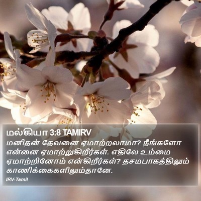 மல்கியா 3:8 TAMIRV Bible Verse Image