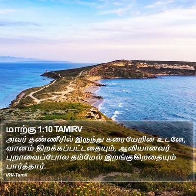 மாற்கு 1:10 TAMIRV Bible Verse Image