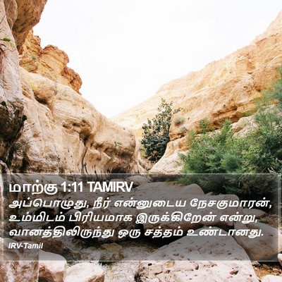 மாற்கு 1:11 TAMIRV Bible Verse Image