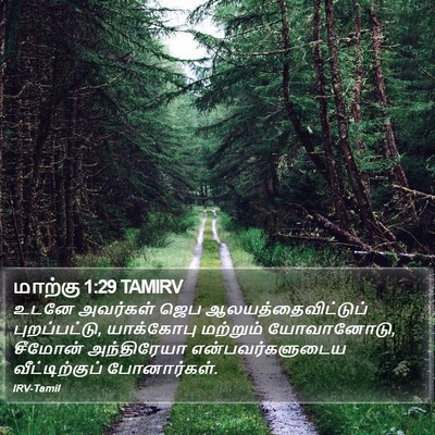 மாற்கு 1:29 TAMIRV Bible Verse Image