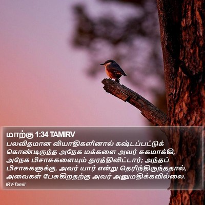 மாற்கு 1:34 TAMIRV Bible Verse Image