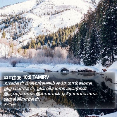மாற்கு 10:8 TAMIRV Bible Verse Image