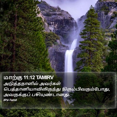 மாற்கு 11:12 TAMIRV Bible Verse Image