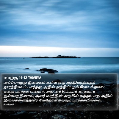 மாற்கு 11:13 TAMIRV Bible Verse Image