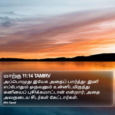 மாற்கு 11:14 TAMIRV Bible Verse Image