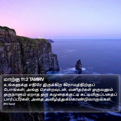 மாற்கு 11:2 TAMIRV Bible Verse Image