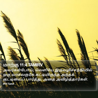 மாற்கு 11:4 TAMIRV Bible Verse Image
