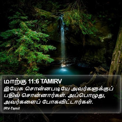 மாற்கு 11:6 TAMIRV Bible Verse Image