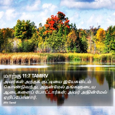 மாற்கு 11:7 TAMIRV Bible Verse Image