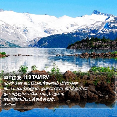 மாற்கு 11:9 TAMIRV Bible Verse Image