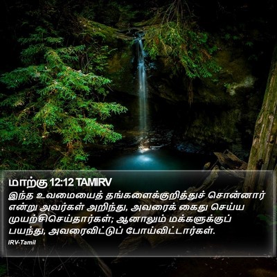மாற்கு 12:12 TAMIRV Bible Verse Image