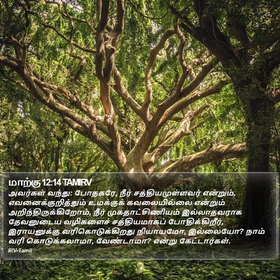 மாற்கு 12:14 TAMIRV Bible Verse Image