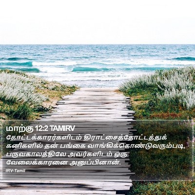 மாற்கு 12:2 TAMIRV Bible Verse Image