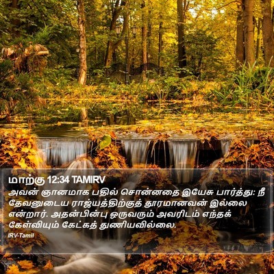 மாற்கு 12:34 TAMIRV Bible Verse Image
