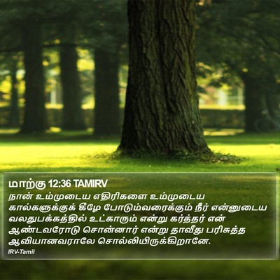 மாற்கு 12:36 TAMIRV Bible Verse Image
