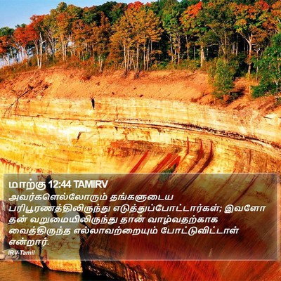 மாற்கு 12:44 TAMIRV Bible Verse Image