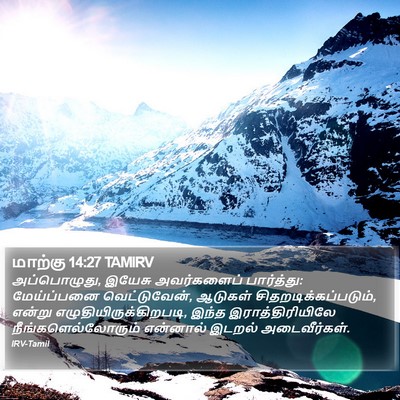 மாற்கு 14:27 TAMIRV Bible Verse Image