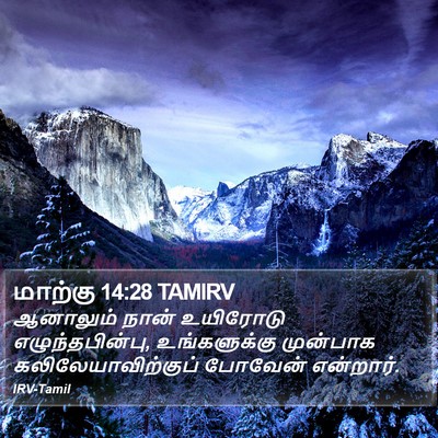 மாற்கு 14:28 TAMIRV Bible Verse Image