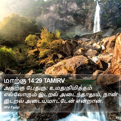 மாற்கு 14:29 TAMIRV Bible Verse Image