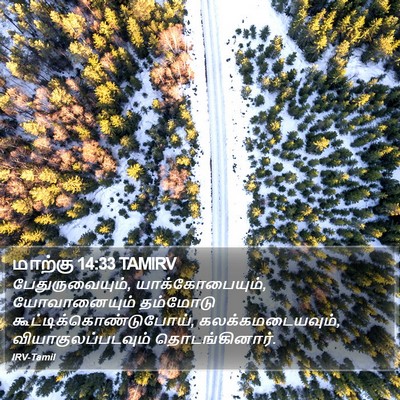 மாற்கு 14:33 TAMIRV Bible Verse Image