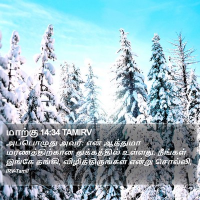 மாற்கு 14:34 TAMIRV Bible Verse Image