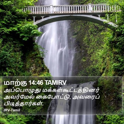 மாற்கு 14:46 TAMIRV Bible Verse Image